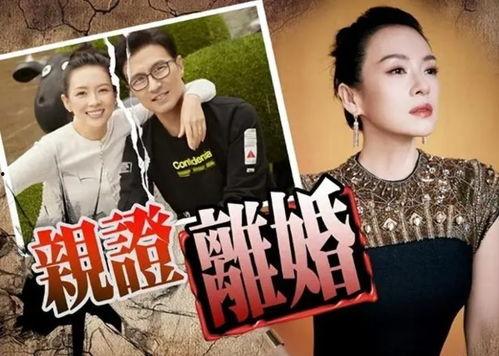 刘大锤直播间爆料汪峰视频,汪峰神秘视频幕后真相 第1张 刘大锤直播间爆料汪峰视频,汪峰神秘视频幕后真相 第1张